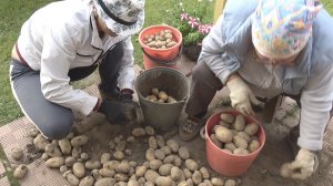 6 соток 27 августа 2025 года. 2 часть