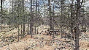 В Монголию за гранатом. Часть 2.