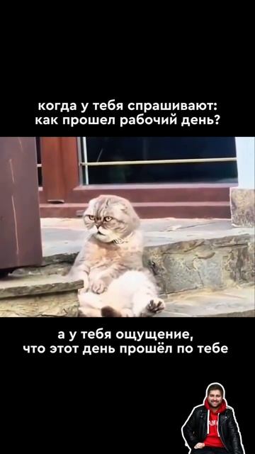 Знакомо очень