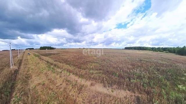 3926960 смотреть онлайн