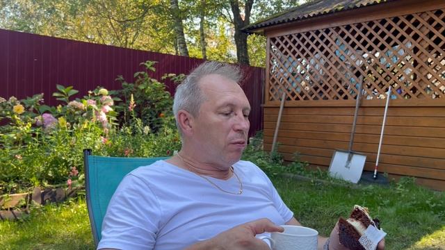 Теплый день! Осы выгнали с дачи смотреть онлайн