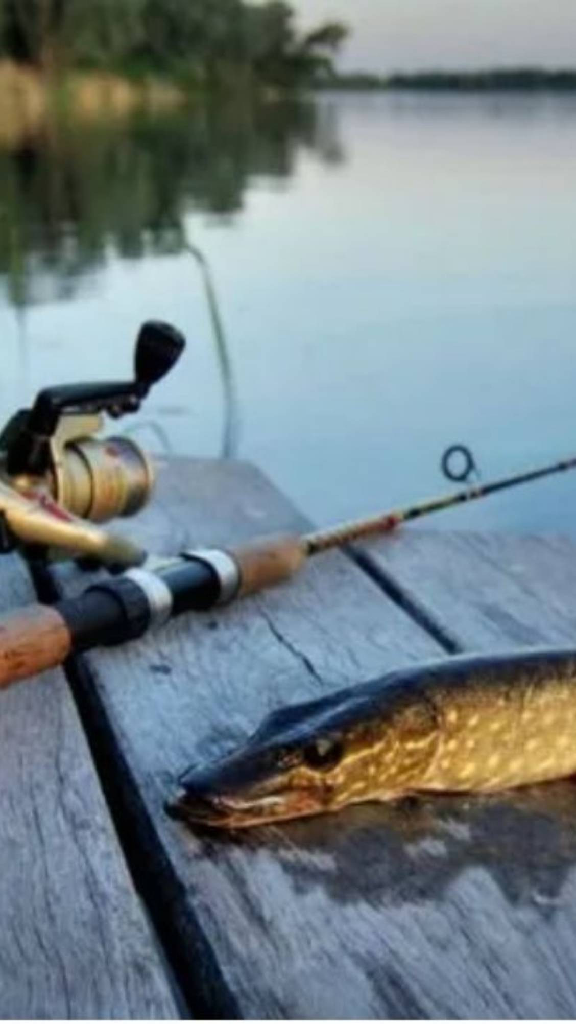 Ваня и рыбалка