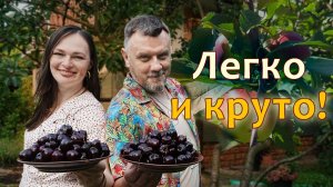 Дача без хлопот: растет само! Малоуходный сад своими руками