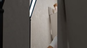 Распоковка с OZON!