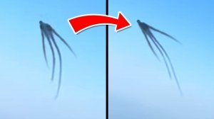 Необычные Явления, Замеченные Авиапассажирами