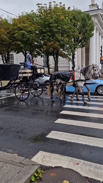 Санкт-Петербург