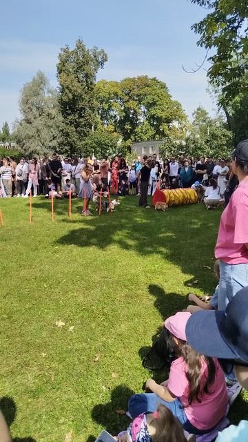 300 королевских хвостов на ВДНХ парад 30 августа (64) смотреть онлайн