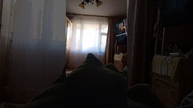 ььл смотреть онлайн