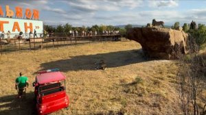 Я вся НА НЕРВАХ! Олег Зубков с Ярославом поехали ко львам, они не знают голос Ярослава….