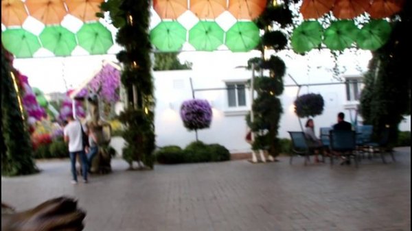 Dubai Miracle Garden - Парк цветов в Дубае, ОАЭ  Сад чудес ROADCONTROL159