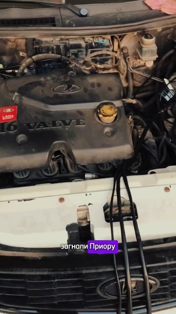 Сегодня сразу три монтажа ГБО. Смотрим, записываемся +7 953 092-54-58