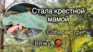 У меня появился крестник. Хожу в лес. Вяжу.