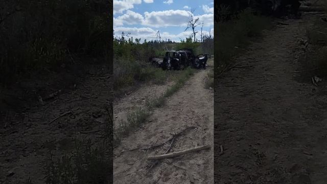 моя спарта - Чичерина.mp4 смотреть онлайн