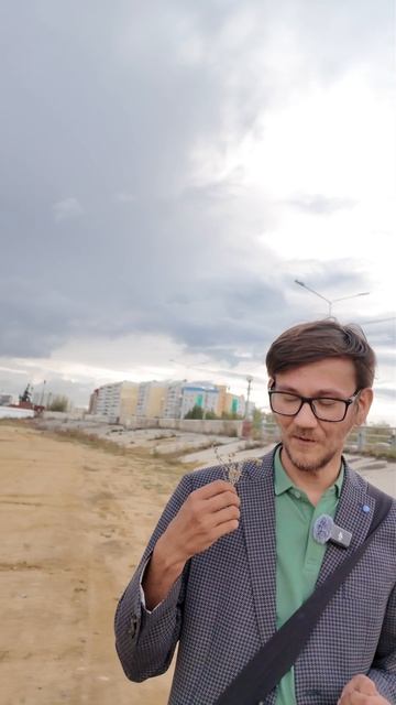 Artemisia - Уникальное лекарственное растение Якутии