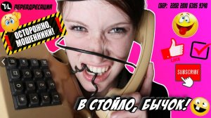 В стойло бычок