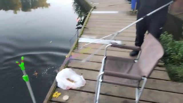 Рыбалка в Красногорске Биг Карп.