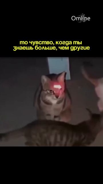 То чувство, когда внутри открывается больше, чем видят остальные. смотреть онлайн