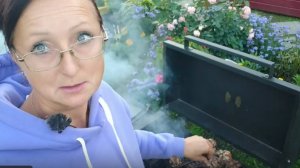 Видео привет с 6 соток 28 августа 2025 года