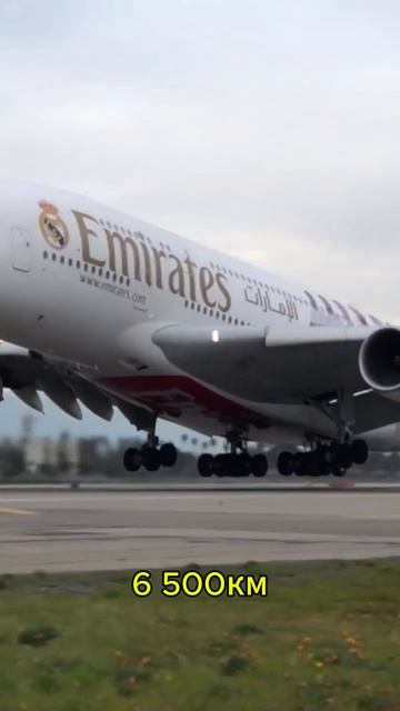 Реал недоволен жеребьёвкой лиги чемпионов #футбол #реал #кайрат