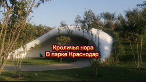 Кроличья нора в парке Галицкого, Краснодар