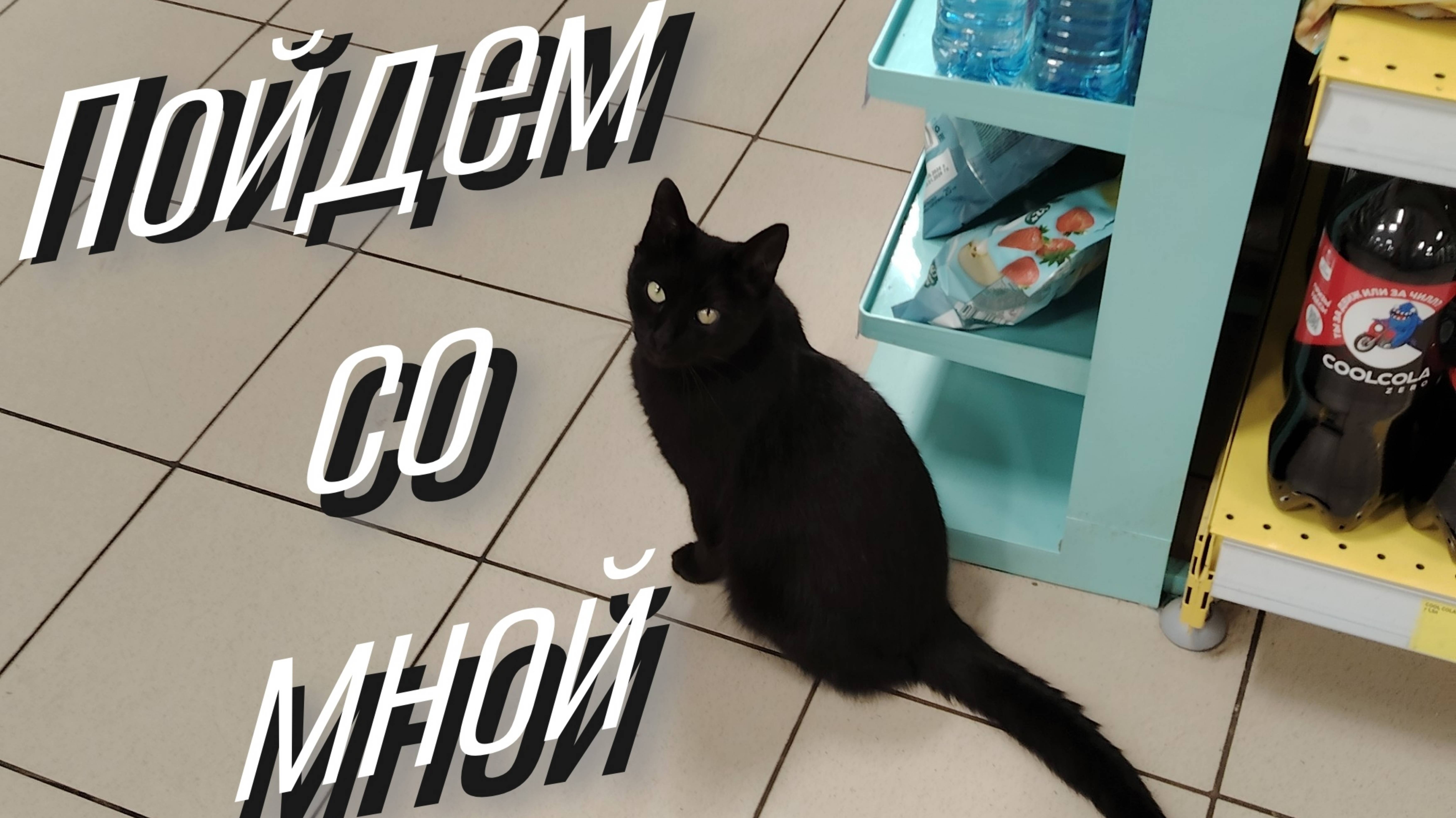 #Прогулка до магнита смотреть онлайн