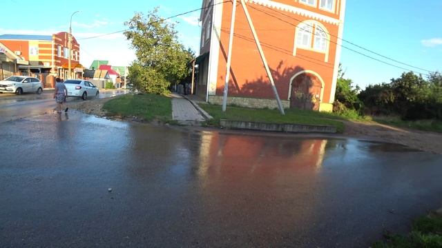 Занимаюсь собирательством груш и слив