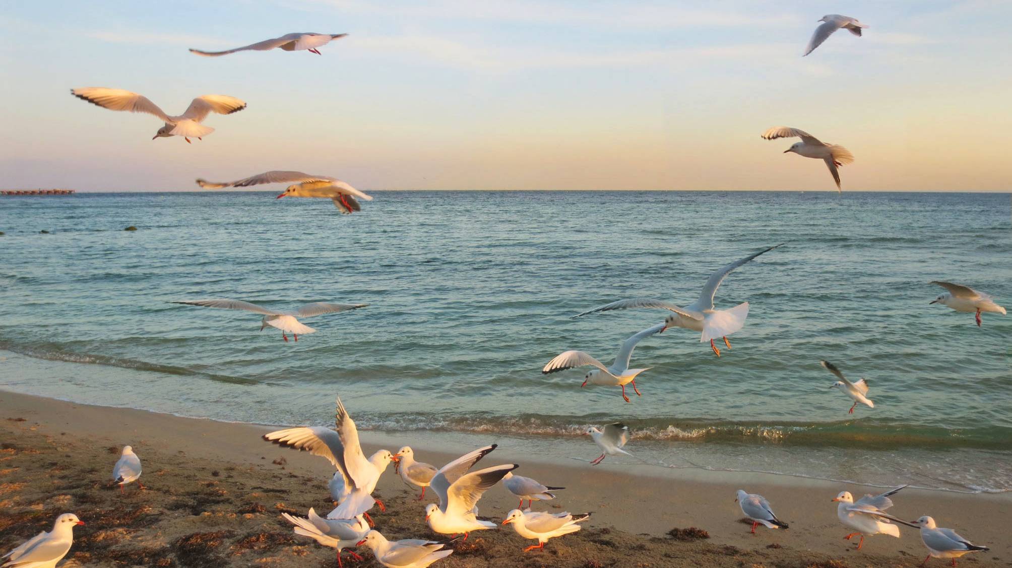 Завтра осень... смотреть онлайн