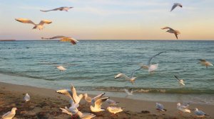 Завтра осень...