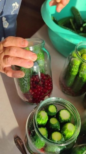 Ты когда огурцы в компоте мариновать будешь? (Огурцы с красной смородиной)