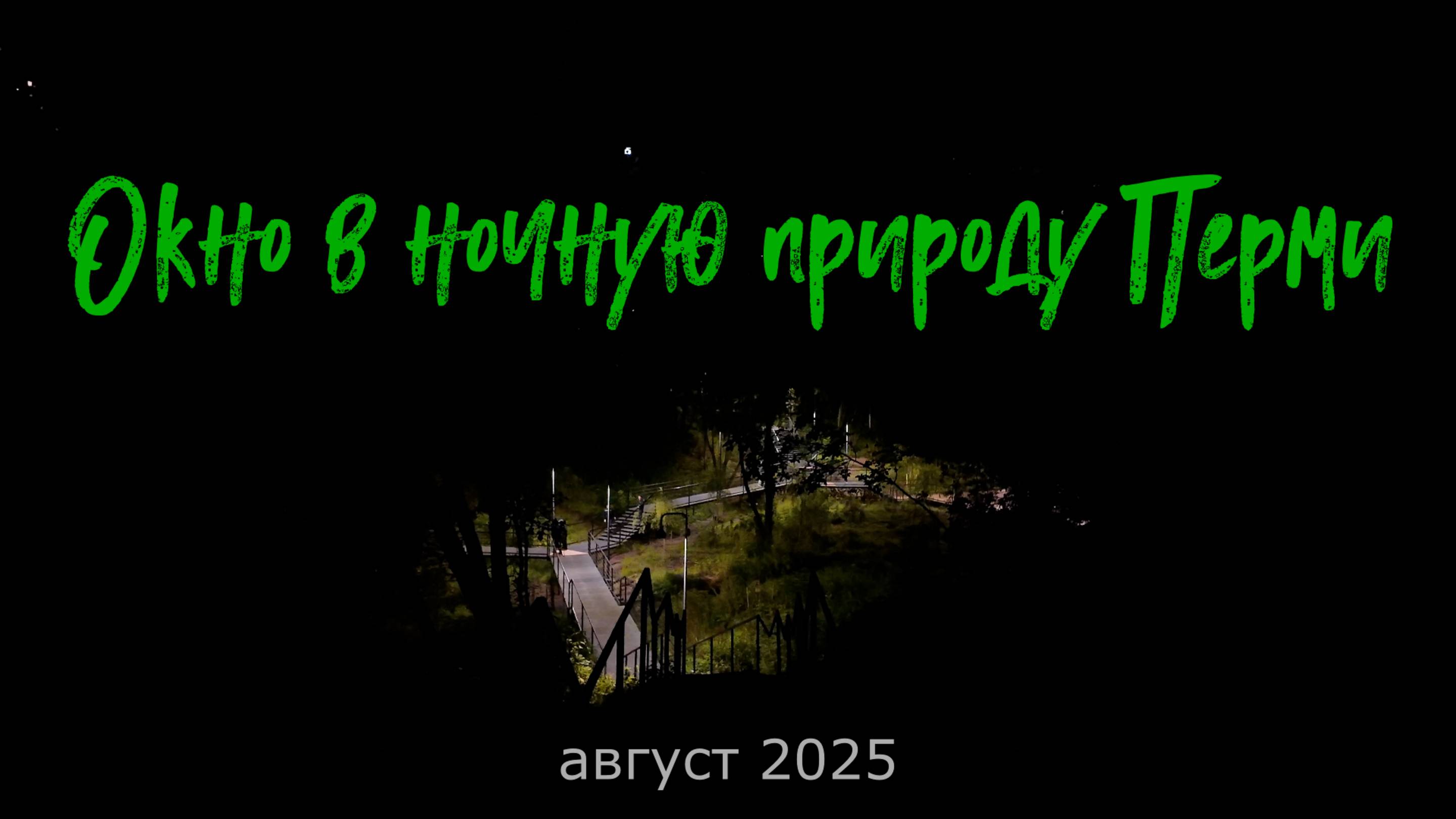 Окно в ночную природу Перми