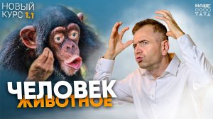 1.1 Человек -существо биосоциальное. ЕГЭ С НУЛЯ. НОВЫЙ КУРС 26