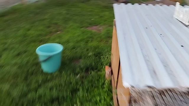 Кролики это не только ценный мех смотреть онлайн