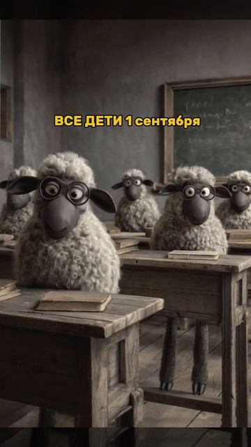 31-08-2025 смотреть онлайн