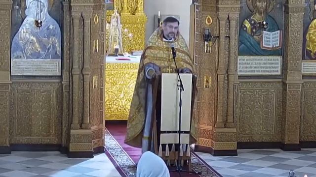 Исцеление двух одержимых. Проповедь протоиерея Димитрия Сизоненко смотреть онлайн