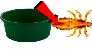 Как избавиться от вшей и гнид за 3 минуты!