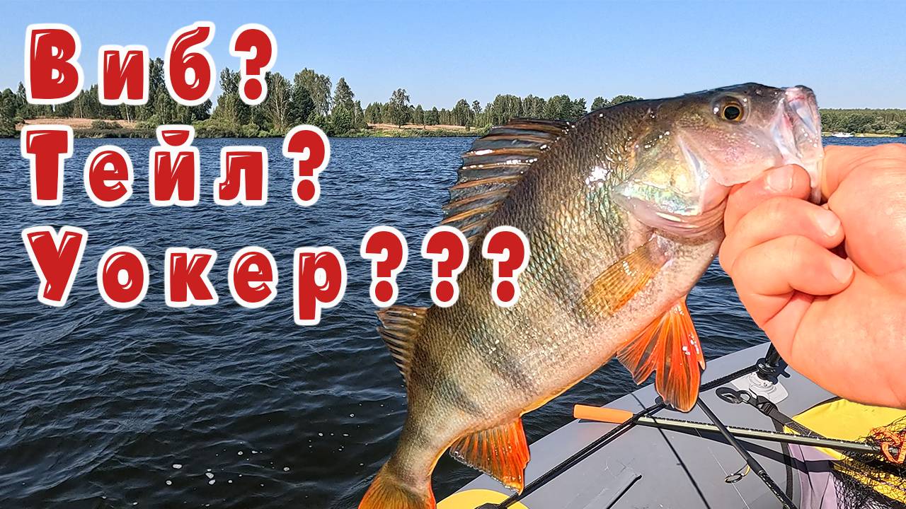 ПОДОБРАЛ ПРИМАНКУ!!! ЧЕСТНЫЙ ТЕСТ СПИННИНГА Ronin Rush SONIC INSURGENT 7-28гр. смотреть онлайн