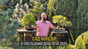 Сад бонсай в последний день лета 2025
