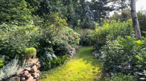 ВОЛШЕБНЫЙ САД ПОД БОСТОНОМ АВГУСТ ОБИЛИЕ ОЧАРОВАТЕЛЬНОГО ЛЕТНЕГО ЦВЕТЕНИЯ