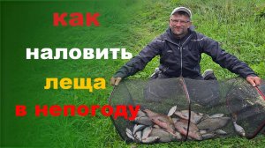 как наловить леща в непогоду