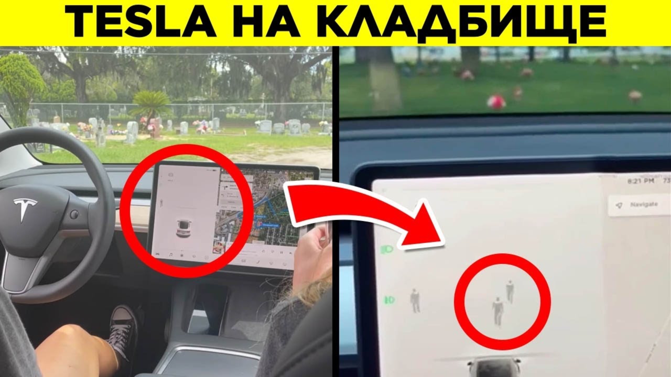 Загадки ТикТока, К Которым Интернет Был Не Готов смотреть онлайн