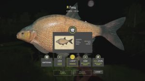 Русская рыбалка 4 фарм леща и попытка зафармить амура на 1 фидер на «Старом Остроге»