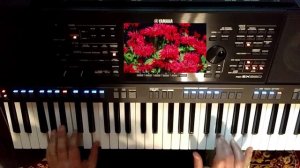 Червона рута&Катюша_Yamaha psr sx 920 popurri remix