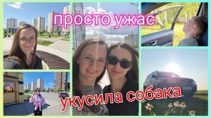 Из Германии в Россию/ Укусила собака/ Огород просто ужас/ Олег Газманов/ Концерт/ День города/ Влог