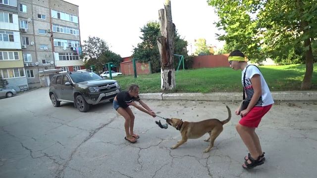 Пэкс решил, что он утка