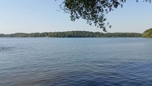 Истринское водохранилище смотреть онлайн