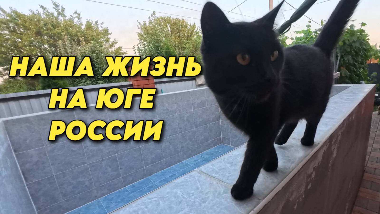 970 Тротуарная плитка своими руками/Жизнь на Кубани/Купили дом на юге смотреть онлайн