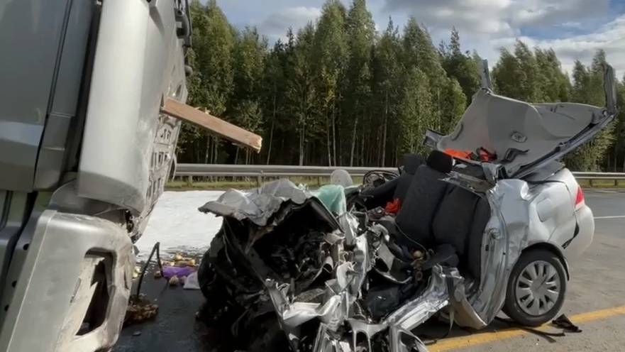 Аварии и ДТП на дорогах ТОРОПЫГИ за рулем смотреть онлайн