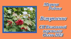 СП "Вязальный переполох. Осень 2025." / Вступление