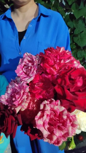 Вырастила букет для первоклашки)) ❤ смотреть онлайн