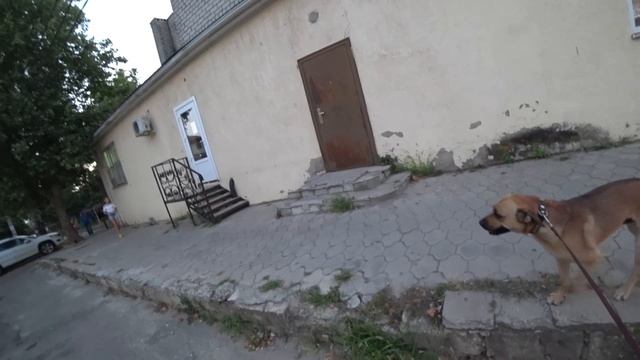 Она вызвала ментов и была не права